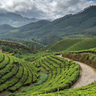 A wide view of Kerala