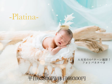 【Studio】Platina