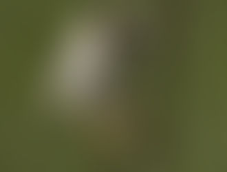 QWERTY: Beautifully Weird