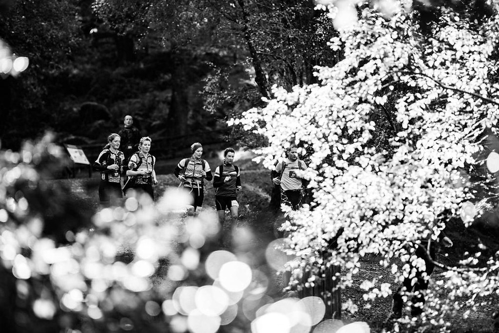 Four runners in a forest. Getting back into exercise.