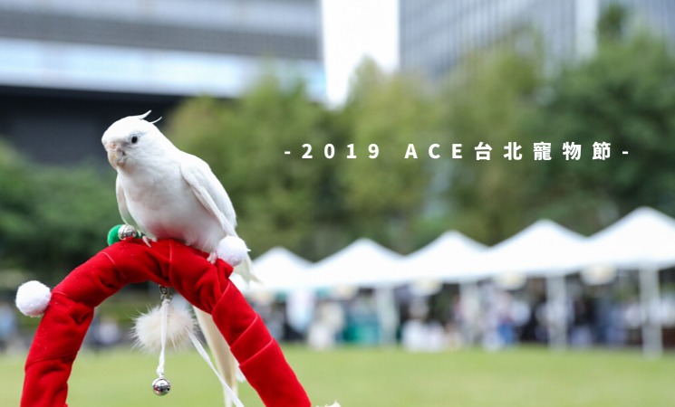 2019 ACE台北寵物節