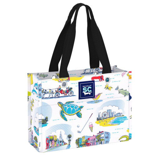 Tiny Package Gift Bag- South Carolina