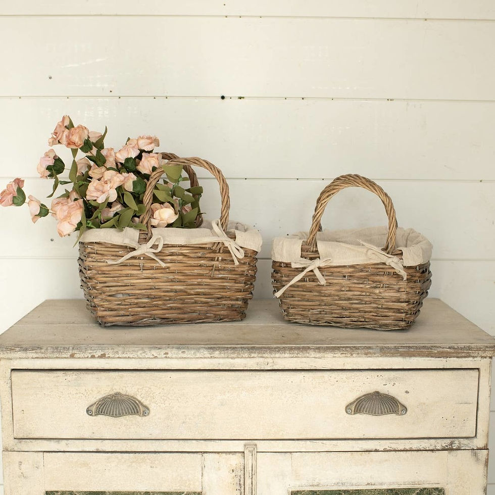SET/ 2 DOUBLE HANDLE RECTANGLE BASKETS