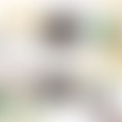 11 gjërat, që nuk kam merak t’i blej në Amazon