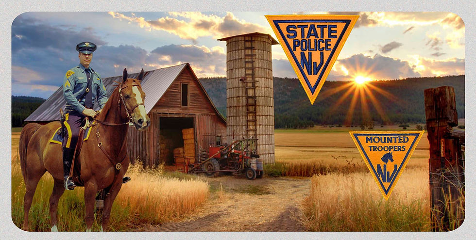 NEW JERSEY STATE POLICE PATROL MOUNTED TROOPER