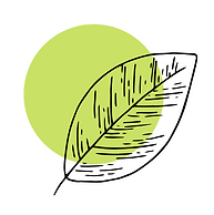 Seeds 2.png
