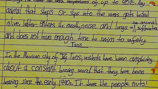 Latin American Wonders