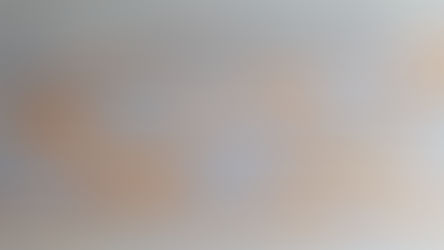 Fractions Recap 1 ( Question of P4 standard )