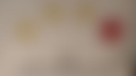 The People's Assembly of Gvarii