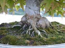 DSCF0575.JPG