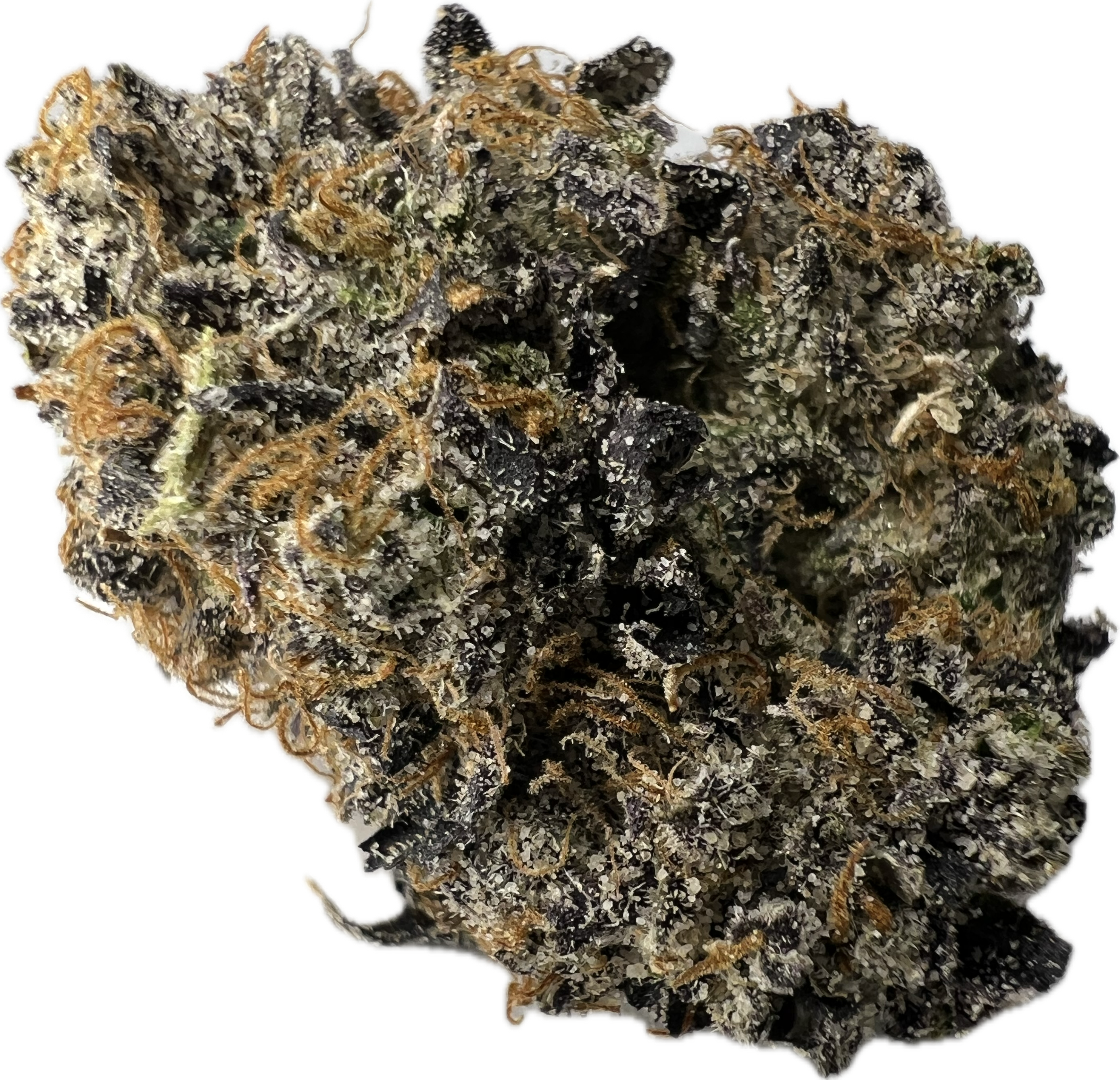 SUPREME (ZOUR RUNTZ)