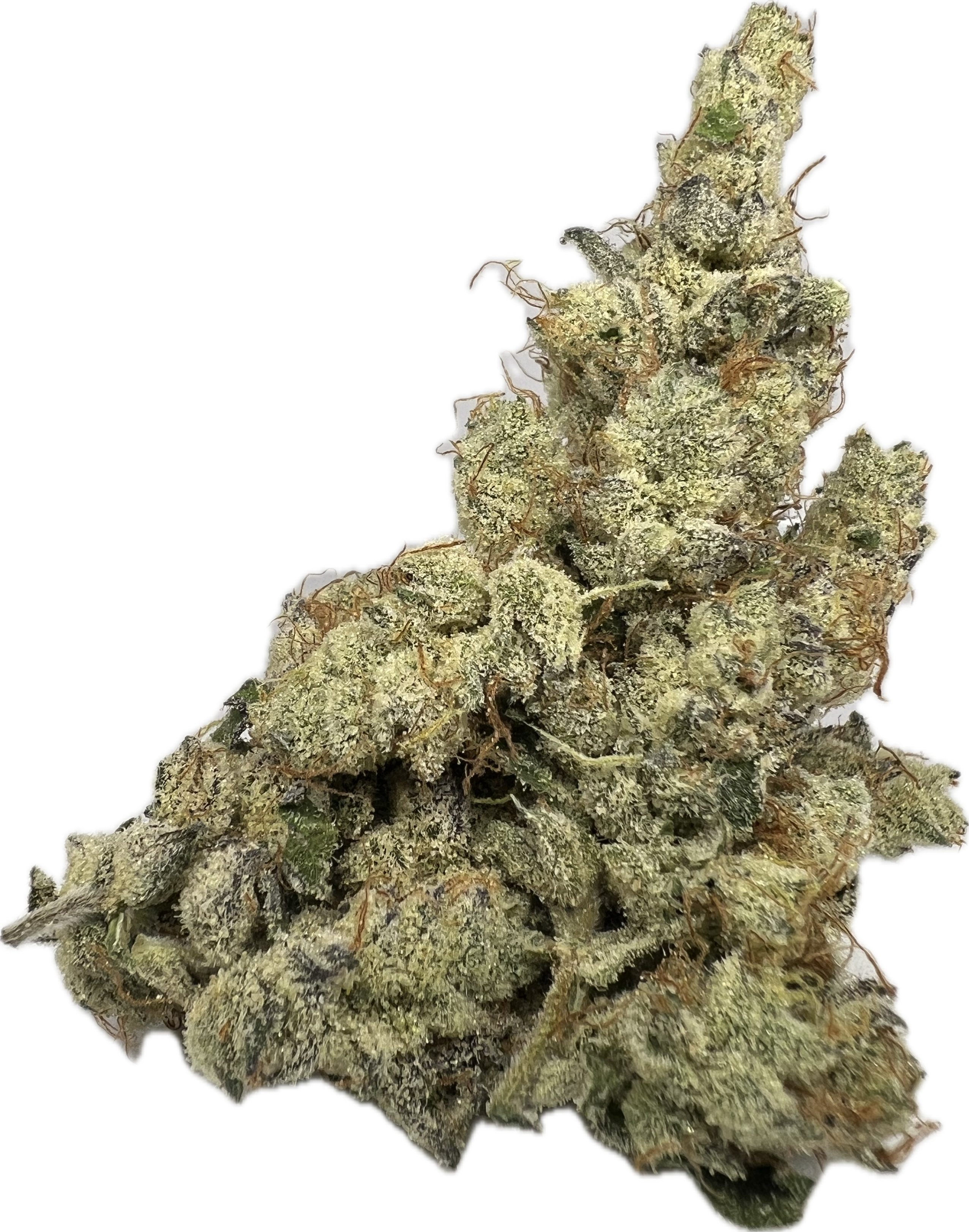 PINK COCKTAIL ($125 SUPREME)