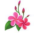 名称未設定のデザイン (9).png