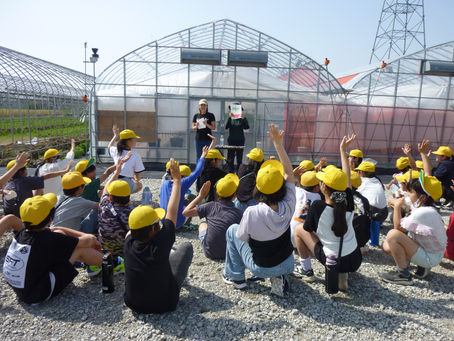5月22日 イチゴ狩り