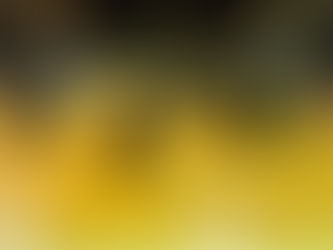 9月24日 親子芸術鑑賞会