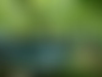 9月17日 ぶどう園見学