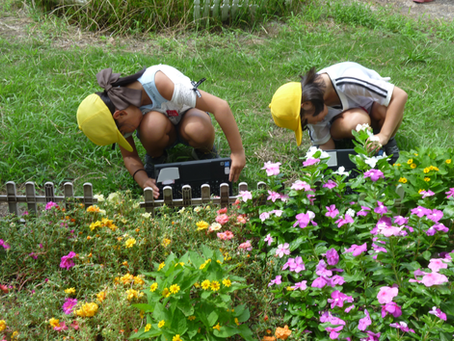 9月10日 虫の目になって