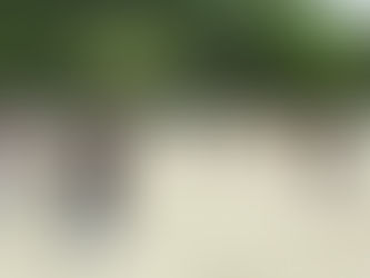 6月25日 たてわり遊び