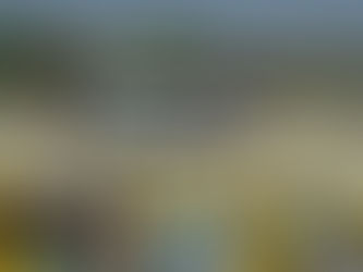 5月23日 交通安全教室