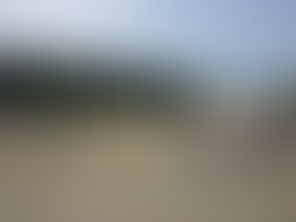 5月16日 体力テスト