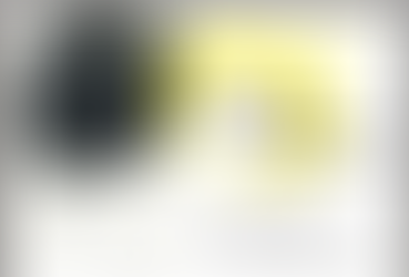 2008高雄巿立社會教育館---蘇妃珍個展