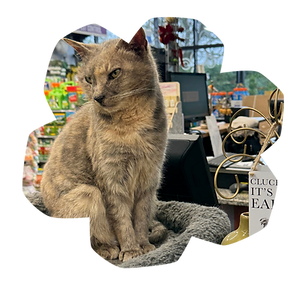 Untitled design (4).png