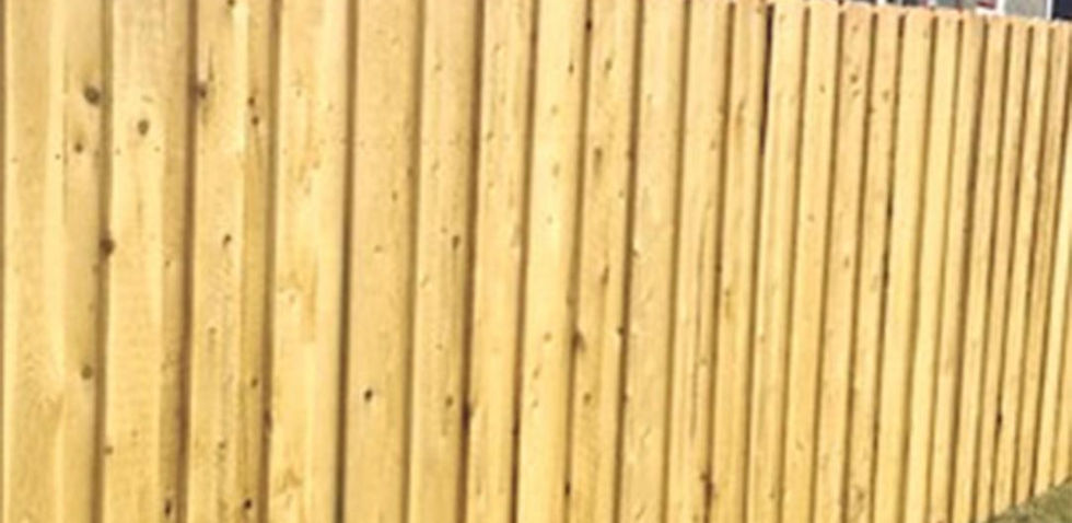 Wooden fence with vertical planks in a backyard setting. Natural light enhances the wood's golden hue. No visible text or people.