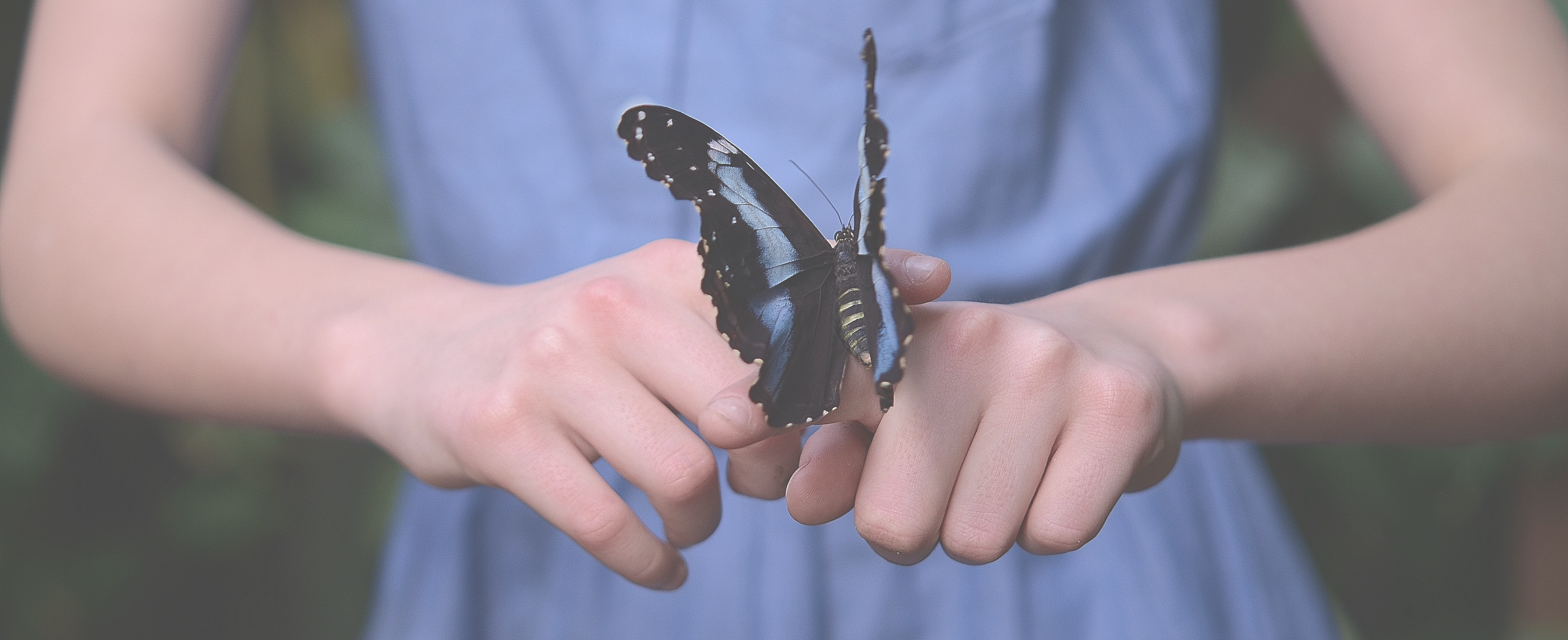 Girl-With-Butterfly-For-Homepage.gif