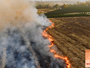 A field burning in a wildfire.