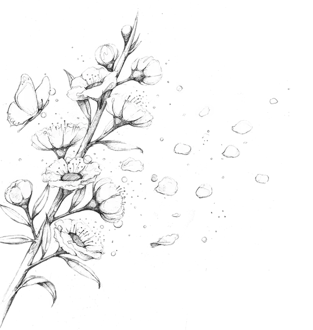 Duft und Psyche Petra Vogel Web Illustration.webp