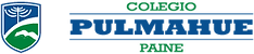 colegio-pulmahue-300x64 (2).png