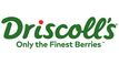 driscolls-vector-logo.png