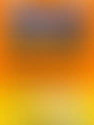 Siamo tutti Protezione Civile