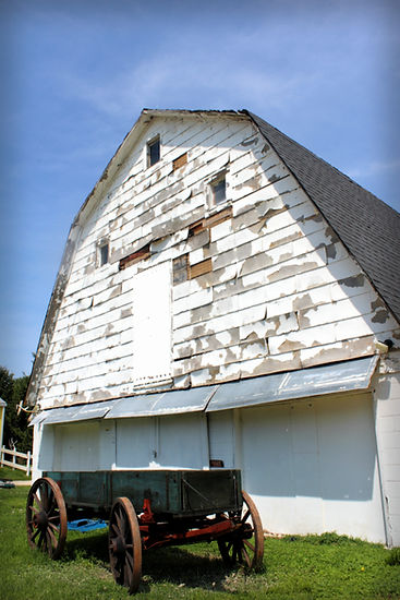barn7.jpg