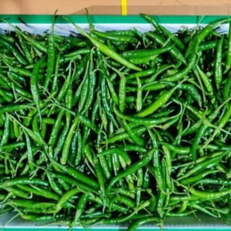 Green chili