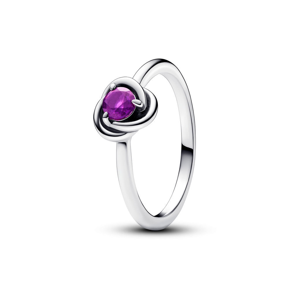 Pandora February Birthstone Eternity Circle Silver Ring