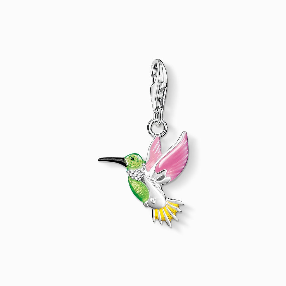 Thomas Sabo Sterling Silver Colourful Hummingbird Charm