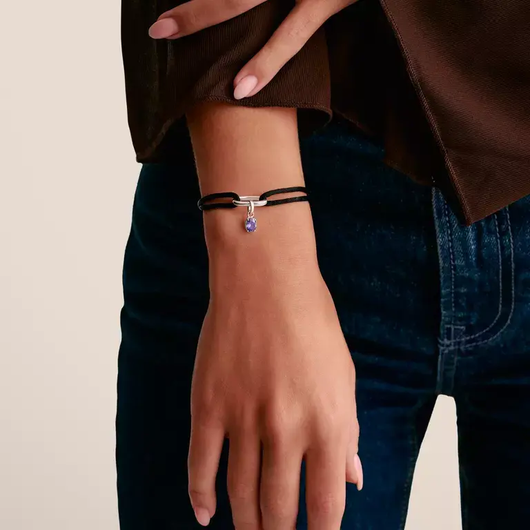 Thumbnail: Thomas Sabo Silver Connect February Birthstone Charm