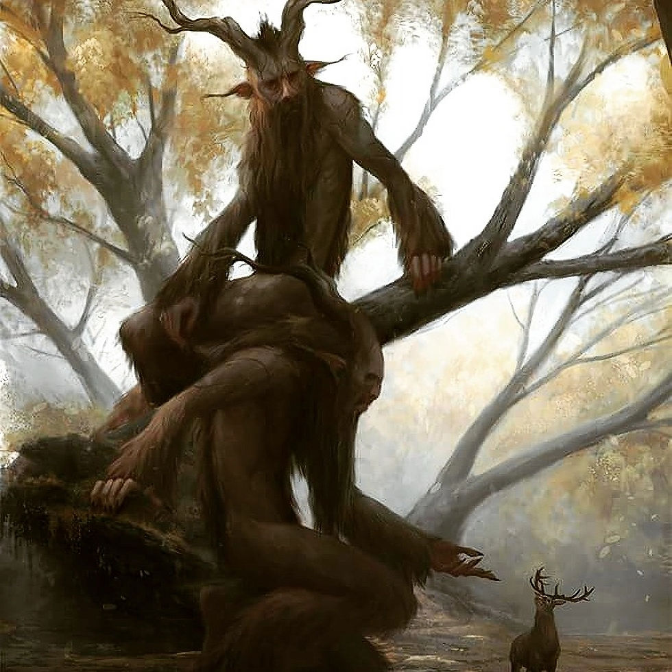 Thumbnail: Sylvanus Wild Man Blend