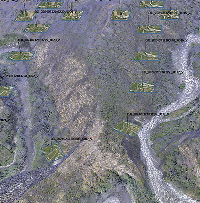 FONDO2.jpg