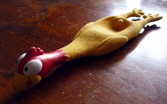 06 21-06-11 - Rubber Chicken.JPG