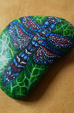 Dragon fly rock 2.JPG