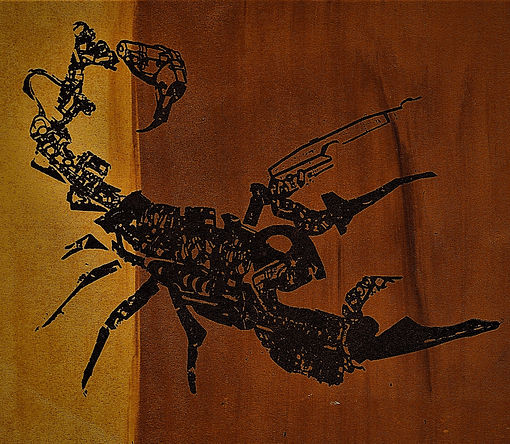 Scorpion Tshirt print 5.jpg
