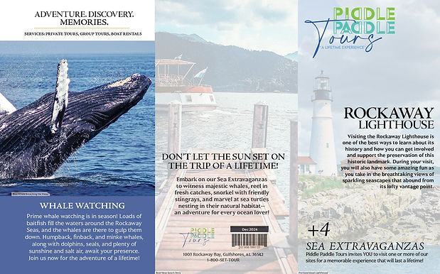 Tri-fold Brochure Panel 1.jpg