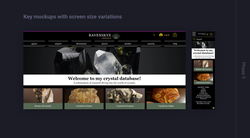 Mockups with Screen Variations 1