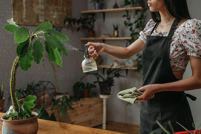 Woman misting a plant