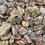 Thumbnail: Avatar Jasper