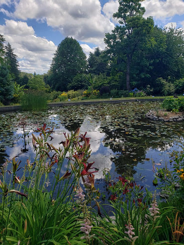 Eco-exploring: Soos Creek Botanical Garden