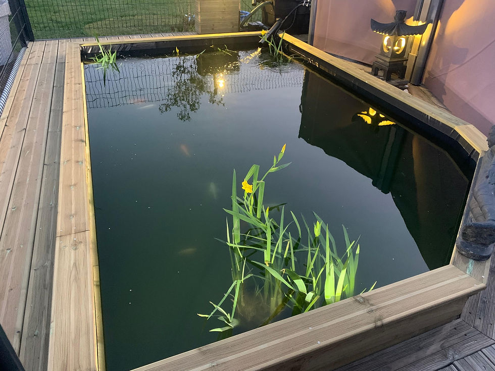 Création d'un bassin