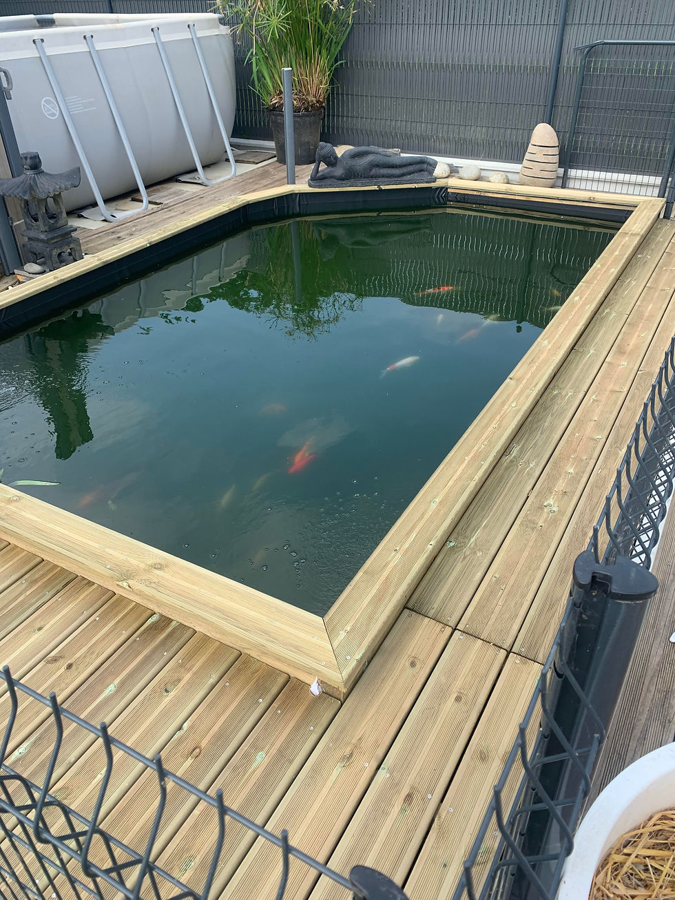 Construction d'un bassin avec terrasse